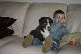 ENFANT ET CHIEN 648